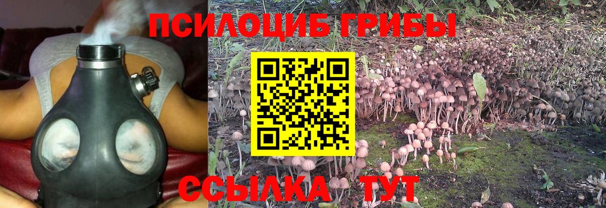 Псилоцибиновые грибы мухоморы Гулькевичи